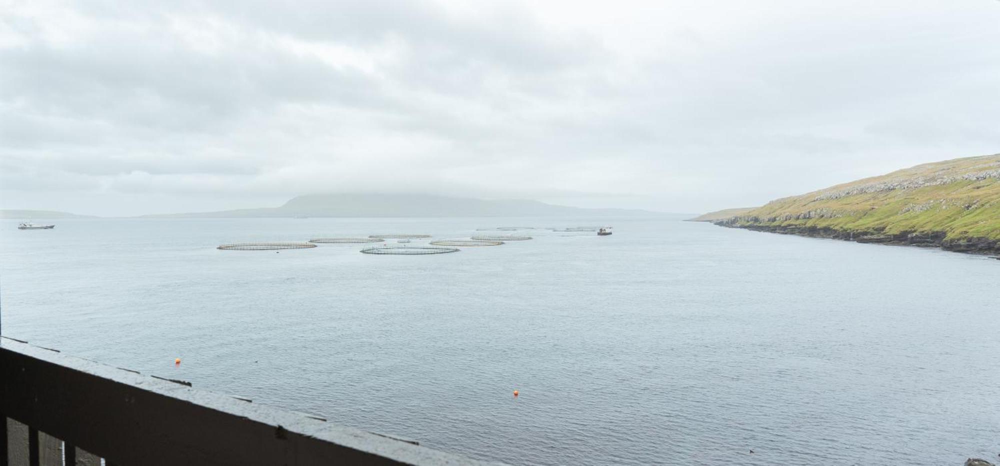 A Tromini Guesthouse Tórshavn Esterno foto